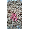 Lạc Đỏ Khô Nguyên Vỏ Tây Bắc 1kg - Giảm Giá Đặc Biệt 76k, Thơm Giòn, Dinh Dưỡng Cao