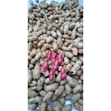 Lạc Đỏ Khô Nguyên Vỏ Tây Bắc 1kg - Giảm Giá Đặc Biệt 76k, Thơm Giòn, Dinh Dưỡng Cao