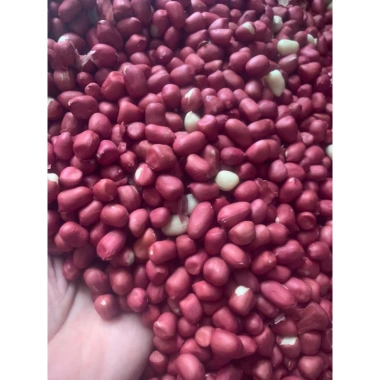 Lạc Đỏ Khô Nguyên Vỏ Tây Bắc 1kg - Giảm Giá Đặc Biệt 76k, Thơm Giòn, Dinh Dưỡng Cao