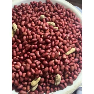 Lạc Đỏ Khô Nguyên Vỏ Tây Bắc 1kg - Giảm Giá Đặc Biệt 76k, Thơm Giòn, Dinh Dưỡng Cao
