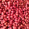 Lạc đỏ quê 1kg hạt to thơm bùi - Mới thu hoạch, giá ưu đãi 39.000đ