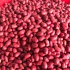 Lạc đỏ quê hạt to 1kg - Hàng mới, giá ưu đãi 73.000đ, chất lượng ngon, tươi mát