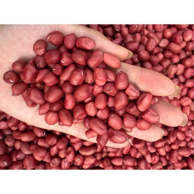 Lạc đỏ Sông Hồng 1kg Bóc tay thơm bùi, chất lượng cao, giá chỉ 100.000 VND giảm từ 126.000 VND 3 Lạc đỏ Sông Hồng 1kg Bóc tay thơm bùi, chất lượng cao, giá chỉ 100.000 VND giảm từ 126.000 VND 3