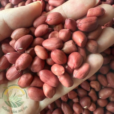 Lạc đỏ Sông Hồng 1kg Bóc tay thơm bùi, chất lượng cao, giá chỉ 100.000 VND giảm từ 126.000 VND