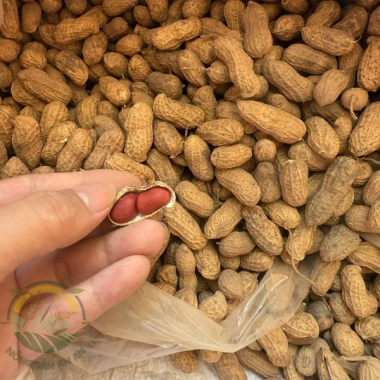 Lạc đỏ Sông Hồng 1kg Bóc tay thơm bùi, chất lượng cao, giá chỉ 100.000 VND giảm từ 126.000 VND 5 Lạc đỏ Sông Hồng 1kg Bóc tay thơm bùi, chất lượng cao, giá chỉ 100.000 VND giảm từ 126.000 VND 5