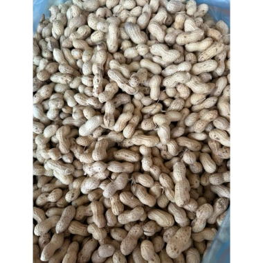 Lạc Sen vỏ mỏng nguyên củ phơi nắng khô Tân Kỳ Nghệ An 1kg - Giảm giá, chỉ 70.000đ