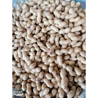 Lạc Sen vỏ mỏng nguyên củ phơi nắng khô Tân Kỳ Nghệ An 1kg - Giảm giá, chỉ 70.000đ