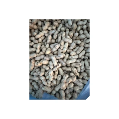 Lạc Sen vỏ mỏng nguyên củ phơi nắng khô Tân Kỳ Nghệ An 1kg - Giảm giá, chỉ 70.000đ