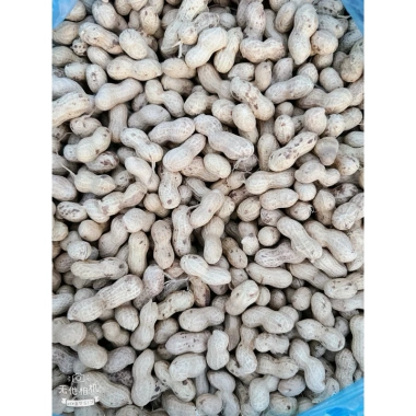 Lạc Sen vỏ mỏng nguyên củ phơi nắng khô Tân Kỳ Nghệ An 1kg - Giảm giá, chỉ 70.000đ