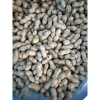 Lạc Sen vỏ mỏng nguyên củ phơi nắng khô Tân Kỳ Nghệ An 1kg - Giảm giá, chỉ 70.000đ 6