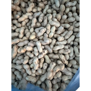 Lạc Sen vỏ mỏng nguyên củ phơi nắng khô Tân Kỳ Nghệ An 1kg - Giảm giá, chỉ 70.000đ