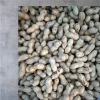 Lạc Sen vỏ mỏng nguyên củ phơi nắng khô Tân Kỳ Nghệ An 1kg - Giảm giá, chỉ 70.000đ 7