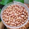 Lạc trắng bóc tay 1kg - Lạc quê ngon, giá chỉ 40.000đ, giảm từ 50.400đ 3
