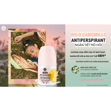 Lăn khử mùi Yves Rocher 50ml - Ngăn mùi 24‑48H, không gây nhờn, giảm giá 180k