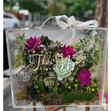 Lẵng hoa sen đá hoa thật - Giỏ sen đá xinh xắn, quà tặng ý nghĩa 20.11 20.10 8.3, chỉ 450.000đ giảm từ 567.000đ