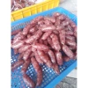 Lạp Xưởng 1kg Nạc Đậm Đà - Giá ưu đãi 215.000đ, Giảm giá cho người thích nhiều nạc 8