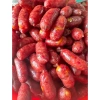 Lạp xưởng heo trứng muối 1KG - 20% trứng muối, chỉ 200.000đ, tặng lạp tôm & lạp heo khô 8