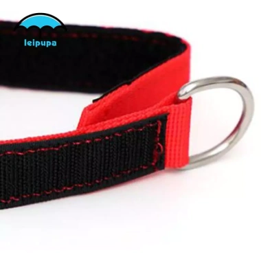 Leipupa Băng Buộc Dây Đeo Cổ Tay Lặn Điều Chỉnh cho Bể Bơi - Giá 95.700 VND