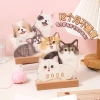 Lịch 3D Để Bàn Little Pet Series – Đồ Trang Trí Đa Năng, Chó Mèo, Giá 118.800₫