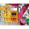 Lịch gỗ nhẹ Sơn thủ công Đếm ngày đến Tết 30x42cm - Thiết kế độc đáo LICH-03 7