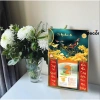 Lịch Tết 2.026 Tráng Gương Để Bàn 20x30cm Viền Vàng Cao Cấp, Nhiều Mẫu Tặng Bloc 5