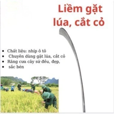 Liềm răng cưa thép chuẩn sắc bén - Cắt cỏ, gặt lúa, cắt rau tiện lợi, giá chỉ 28.000₫ 4