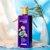 Live mua 1 tặng 1 Dầu gội Thái Dương 3 Gold 500ml + Dầu xả / Sữa tắm Thái Dương 7 Plus Gold 50g - Giá chỉ 176.727₫ 5