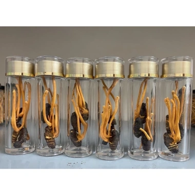 Lọ 3 con Đông Trùng Hạ Thảo - Tăng đề kháng, hỗ trợ sức khỏe, giá tận xưởng 75.000 VND