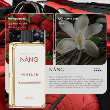 Lọ Tinh Dầu 50ml Thay Thế Máy Xịt Hương Thơm Cho Văn Phòng, Nhà WC, Phòng Nhỏ