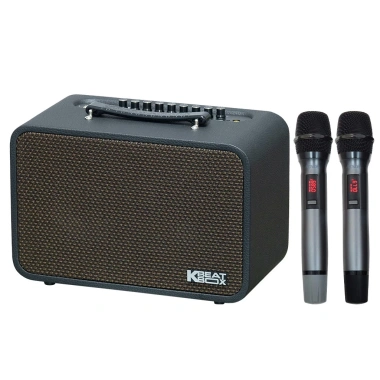 Loa ACNOS CS 160PRO 16cm 80W Karaoke - Kèm 2 Mic, Bảo hành 12 tháng, Giá chỉ 2.98 triệu