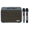 Loa ACNOS CS 160PRO 16cm 80W Karaoke - Kèm 2 Mic, Bảo hành 12 tháng, Giá chỉ 2.98 triệu 4