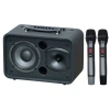 Loa ACNOS CS 160PRO 16cm 80W Karaoke - Kèm 2 Mic, Bảo hành 12 tháng, Giá chỉ 2.98 triệu 8