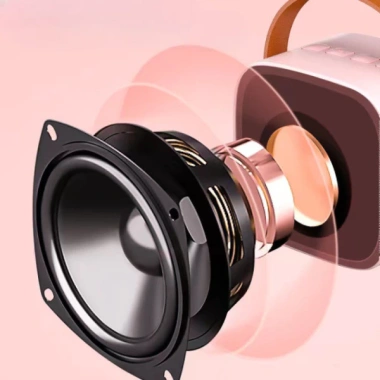 Loa Bluetooth Karaoke Mini P2 K1 Bass mạnh, micro không dây, 5 giọng, giảm còn 249.000₫