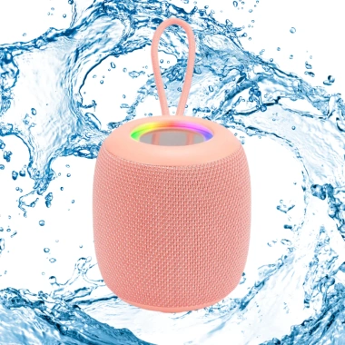 Loa Bluetooth Mini WS-309 Cao Cấp Cầm Tay - Âm Thanh Sâu, Dễ Dàng Kết Nối Laptop & Điện Thoại, Giá Ưu Đãi 214.600₫