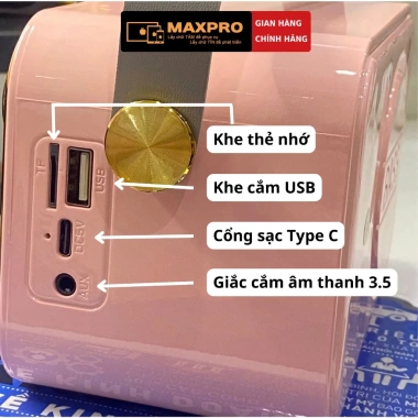 Loa Karaoke Bluetooth 2 Mic không dây, âm vòm, kết nối ĐT/PC/TV - 390.000₫