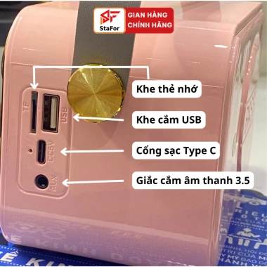 Loa Karaoke Bluetooth 2 Mic Không Dây, Suất Lớn, Vòm, Kết Nối ĐT-PC-TV - 454k 2