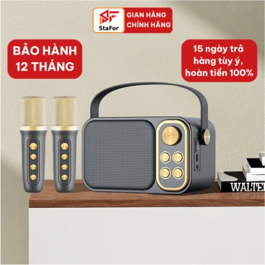 Loa Karaoke Bluetooth 2 Mic Không Dây, Suất Lớn, Vòm, Kết Nối ĐT-PC-TV - 454k 10