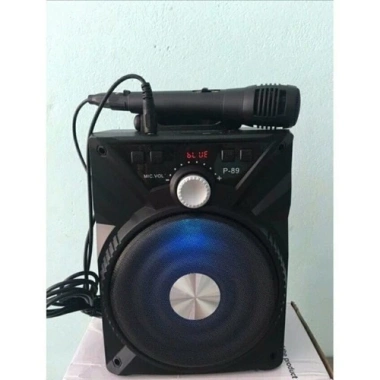 Loa Karaoke Xách Tay Mini Bluetooth P88 - Siêu Nhẹ, Âm Thanh Sâu, Giá 239.000₫