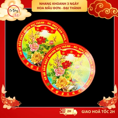 Lốc 5 Hộp Nhang Khoanh 72h 3 Ngày Không Mùi - Hàng Chính Hãng Giá Ưu Đãi 45.000
