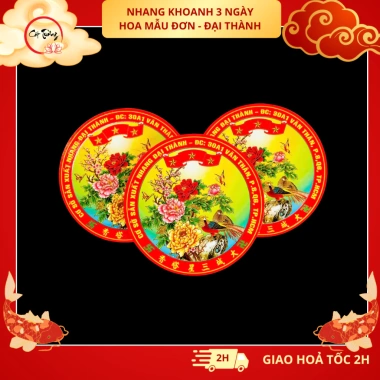 Lốc 5 Hộp Nhang Khoanh 72h 3 Ngày Không Mùi - Hàng Chính Hãng Giá Ưu Đãi 45.000