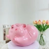 Lợn Đất Ống Heo Tiết Kiệm Tiền HEO BAY MÔNG CONG Siêu Đẹp Mẫu Mới 2.026 XLDDGR HĐ41 Giá 85.000 VND 5