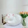 Lợn Đất Ống Heo Tiết Kiệm Tiền HEO BAY MÔNG CONG Siêu Đẹp Mẫu Mới 2.026 XLDDGR HĐ41 Giá 85.000 VND 10