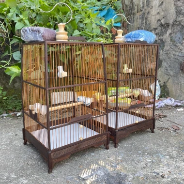 Lồng chim hút mật gỗ mun đuôi công 23x42cm - Giá rẻ, tặng phụ kiện Kabosa 4 Lồng chim hút mật gỗ mun đuôi công 23x42cm - Giá rẻ, tặng phụ kiện Kabosa 4