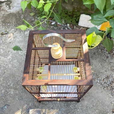 Lồng chim hút mật gỗ mun đuôi công 23x42cm - Giá rẻ, tặng phụ kiện Kabosa