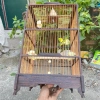 Lồng chim hút mật gỗ mun đuôi công 23x42cm - Giá rẻ, tặng phụ kiện Kabosa 8