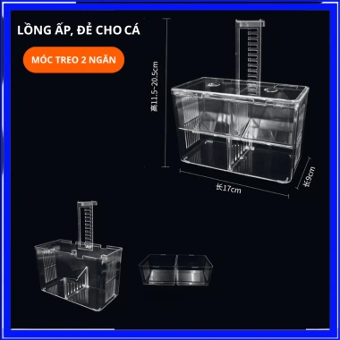 Lồng Đẻ Cá Bảy Màu Ấp Tách Mica Trong Suốt - Nhiều Kích Thước, Giá 31.990₫ 8