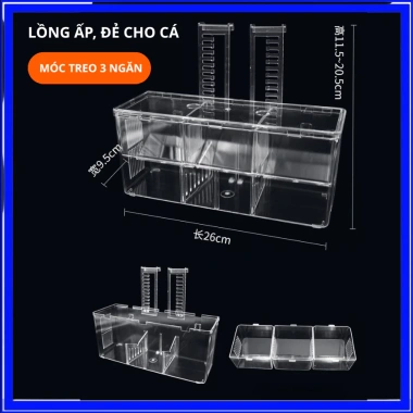 Lồng Đẻ Cá Bảy Màu Ấp Tách Mica Trong Suốt - Nhiều Kích Thước, Giá 31.990₫ 9