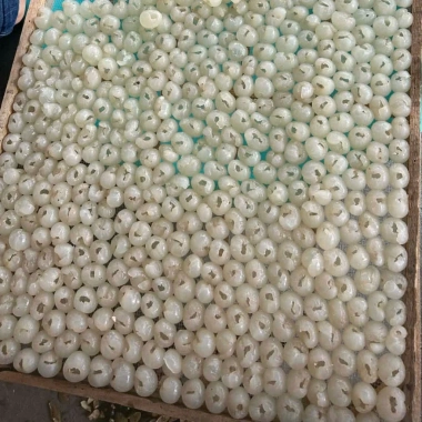 Long Nhãn Hưng Yên 500g – Sấy tự nhiên, ngon cho chè, trà – Giá chỉ 127.000