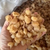 Long nhãn sấy khô Hưng Yên loại 1 500g-1kg vàng thơm pha trà, ngâm rượu, bổ máu, tăng miễn dịch - 180.000₫ 5