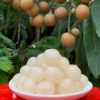Long nhãn sấy khô Hưng Yên loại 1 500g-1kg vàng thơm pha trà, ngâm rượu, bổ máu, tăng miễn dịch - 180.000₫ 9